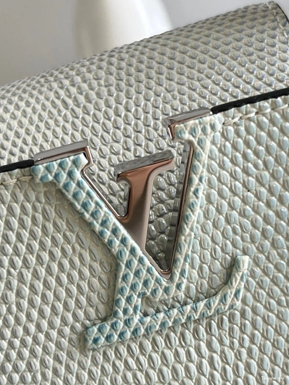 Cheap VUITTON MINI CAPUCINES LOUIS 0815